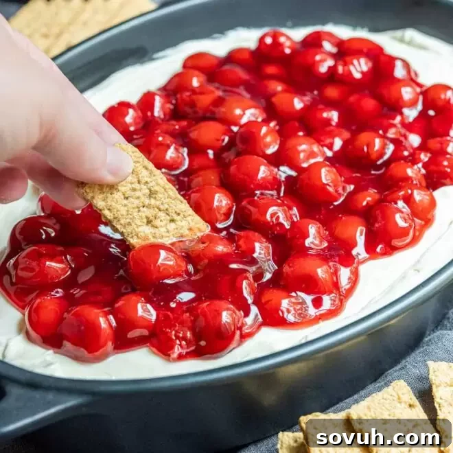Dipping a graham cracker into Cherry Cheesecake Dip