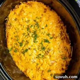 slow cooker with cheesy Crock Pot Chicken Enchiladas