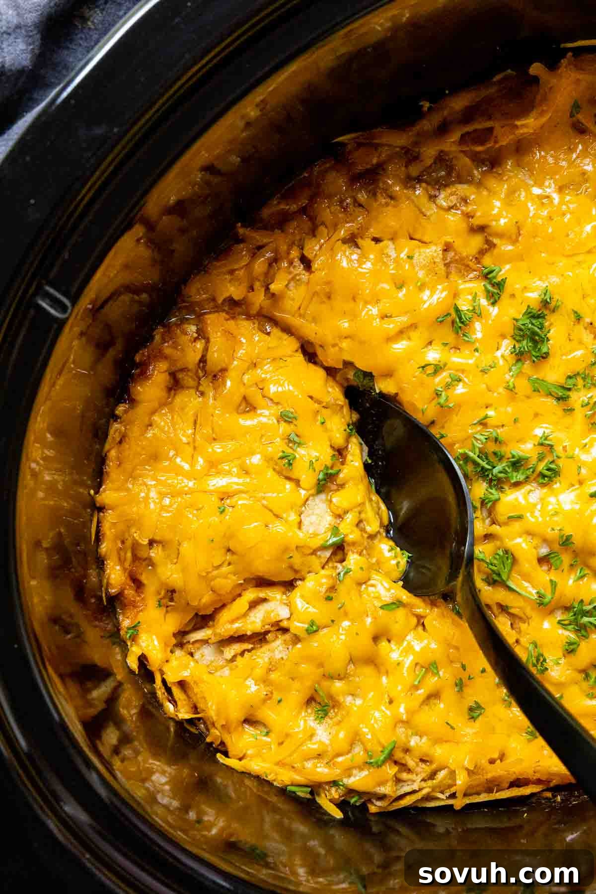 serving Crock Pot Chicken Enchiladas