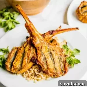 Two perfectly grilled lamb chops in a rich Curry Marinade, served atop a bed of fluffy brown rice.