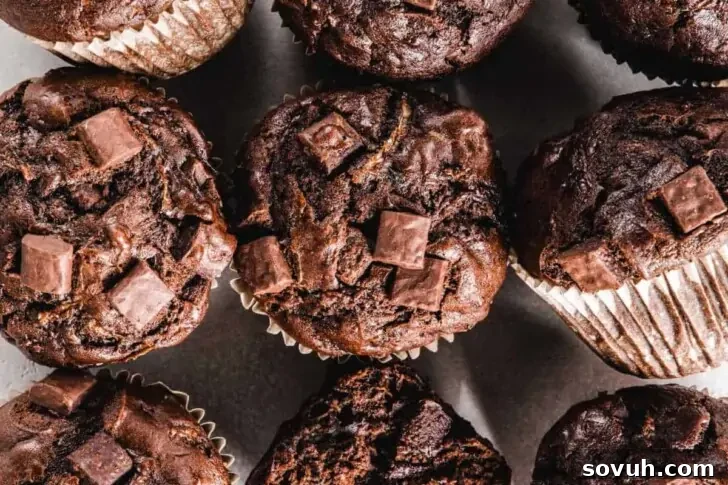 Close-up view of multiple chocolate muffins with chunks of chocolate on top, arranged closely together.