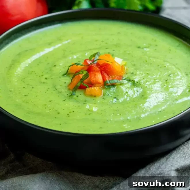 Zucchini Soup in a bowl