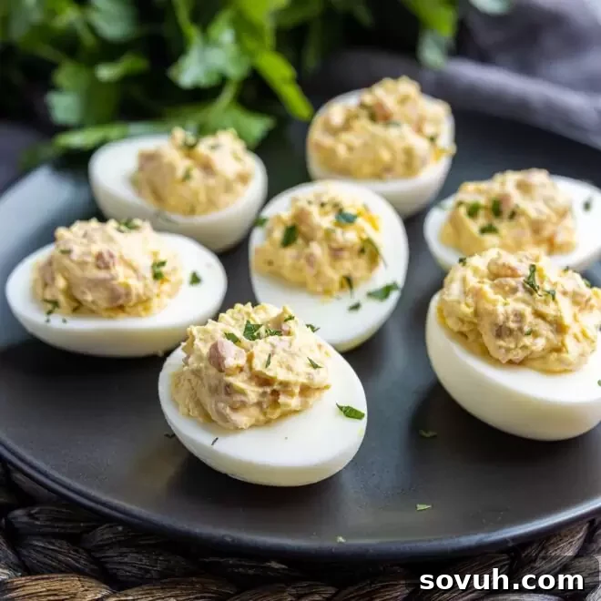 Deviled Ham Stuffed Eggs, beautifully arranged on a serving plate, showcasing their rich filling and elegant presentation.