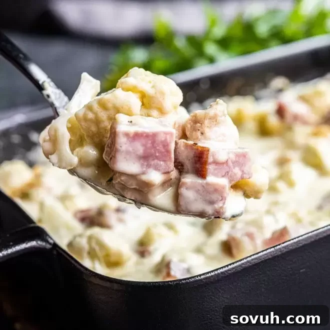 A spoonful of Keto Chicken Cordon Bleu Casserole, showcasing its rich and creamy texture with visible pieces of chicken, ham, and cauliflower.