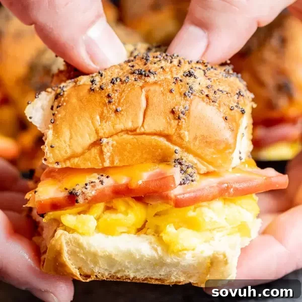 Hands holding a delicious Ham, Egg, and Cheese Breakfast Slider, showcasing its fluffy egg, savory ham, and melted cheese on a soft bun.