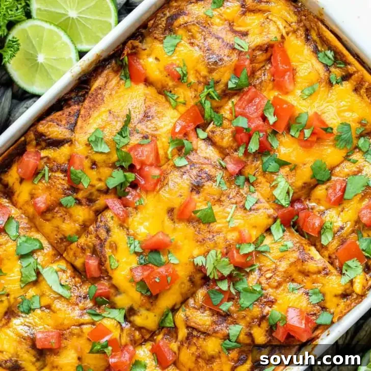 top down shot of chicken enchilada casserole recipe in a dish