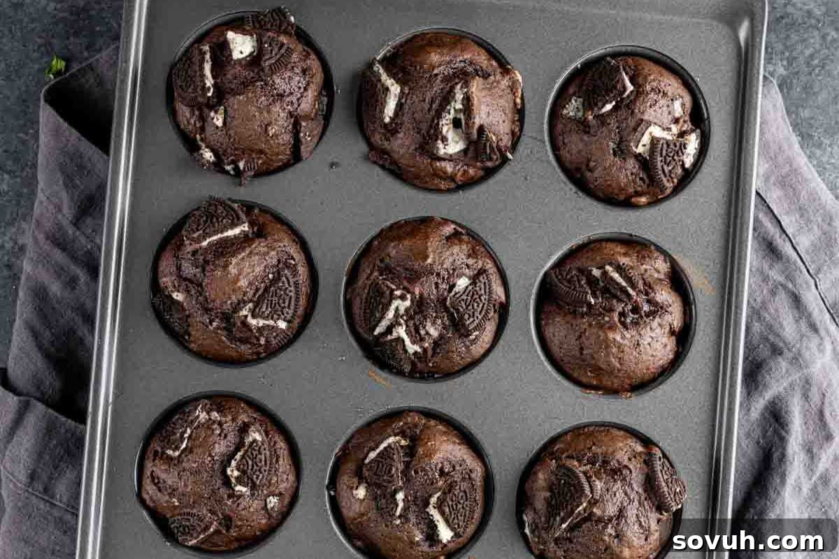 A tray of freshly baked chocolate muffins with chunks of Oreo on top, displayed in a gray muffin tin on a dark countertop.