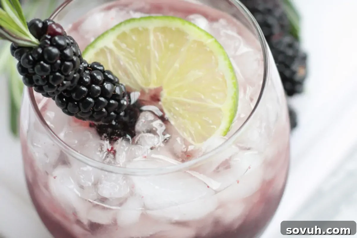 Close-up of a refreshing cocktail with ice, garnished with blackberries and a lime slice, served in a clear glass.