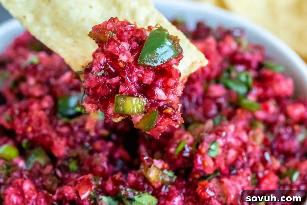 A crispy tortilla chip dipping into a vibrant bowl of rich red salsa, featuring finely chopped ingredients for a fresh and appealing texture.