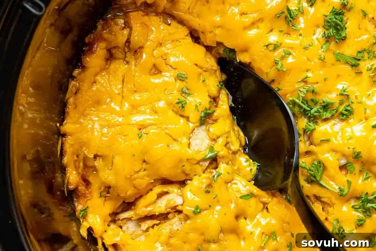 A close-up of cheesy chicken enchiladas in a black dish, topped with melted cheese and garnished with chopped parsley, with a serving spoon lifting a portion.