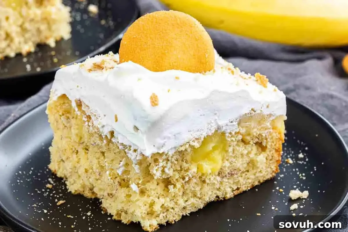 A slice of banana pudding cake topped with whipped cream and a vanilla wafer on a black plate.