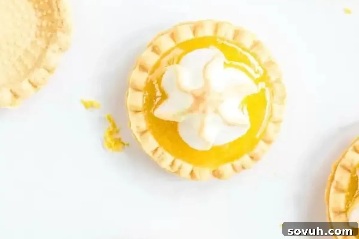 A small lemon tart with whipped cream on top is shown with part of another tart visible in the bottom right corner and an empty tart shell on the left.