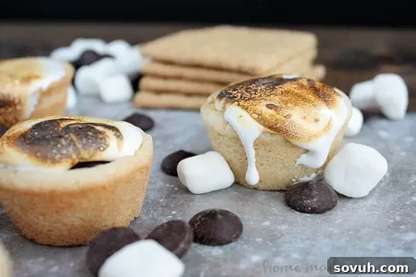 Close-up of S'mores Cookie Cups, showcasing the melted chocolate ganache and toasted marshmallow.