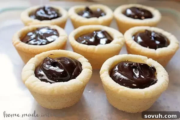S'mores Cookie Cups arranged on a serving platter, ready to be enjoyed.