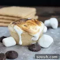 S'mores Cookie Cups with chocolate ganache and roasted marshmallow, featured image.
