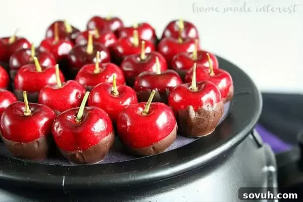 Miniature chocolate-dipped cherries as "poisoned apples" for a Disney Villains party