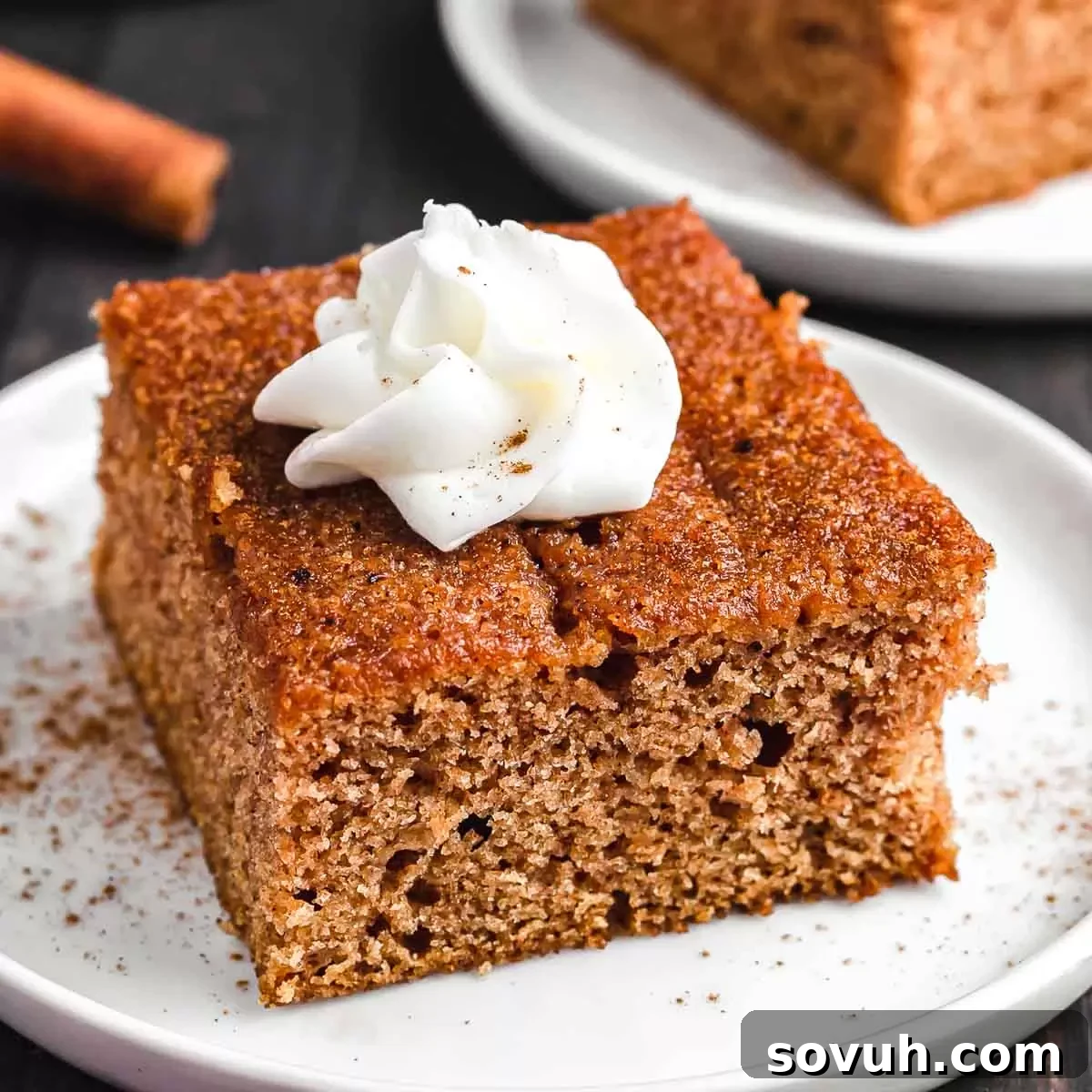 A perfectly baked Apple Spice Cake on a pristine white plate, ready to be enjoyed. The top is lightly dusted with cinnamon sugar, highlighting its golden-brown crust and inviting texture.