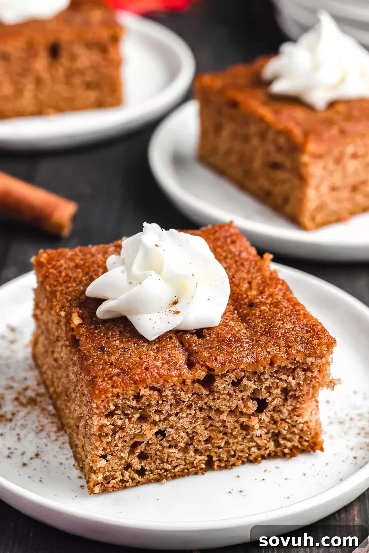 A slice of Apple Spice Cake elegantly presented on a plate, topped with a generous swirl of fresh whipped cream and a hint of cinnamon dust. The cake's moist texture and inviting aroma are evident.