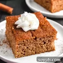 Apple Spice Cake on a white plate