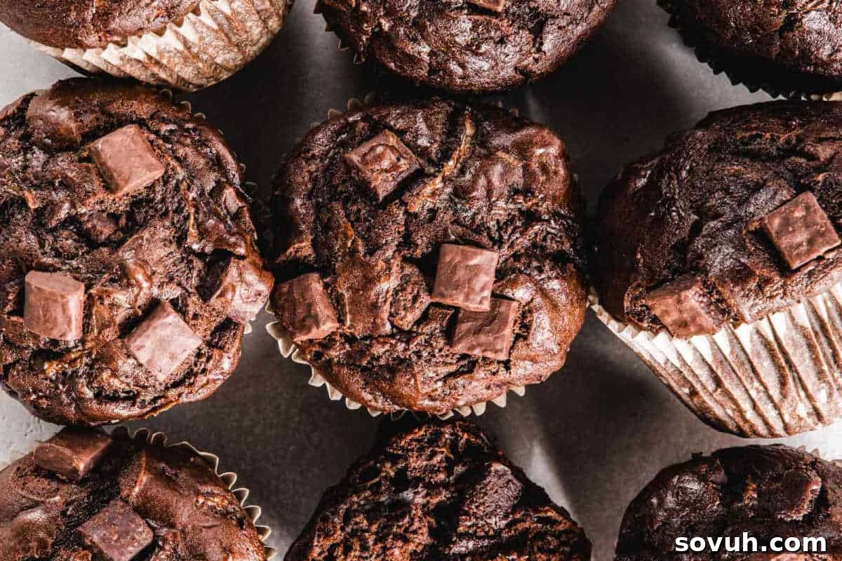 Close-up view of multiple chocolate muffins with chunks of chocolate on top, arranged closely together.