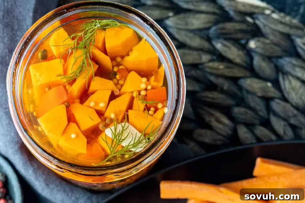 A jar filled with pickled orange vegetables and spices, topped with dill.