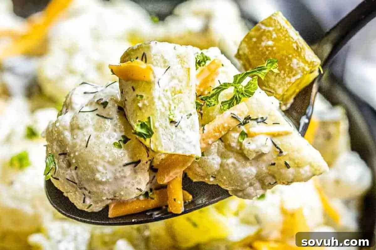 A close-up of a spoonful of creamy vegetable dish, featuring chunks of potatoes, carrots, and cauliflower, garnished with fresh herbs, reminiscent of a flavorful dill pickle salad.
