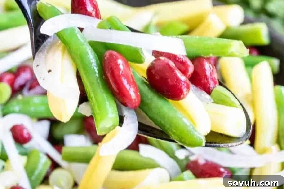 Close-up of a spoonful of refreshing Three Bean Salad featuring vibrant green beans, tender wax beans, hearty kidney beans, and thinly sliced onions, all coated in a light dressing.