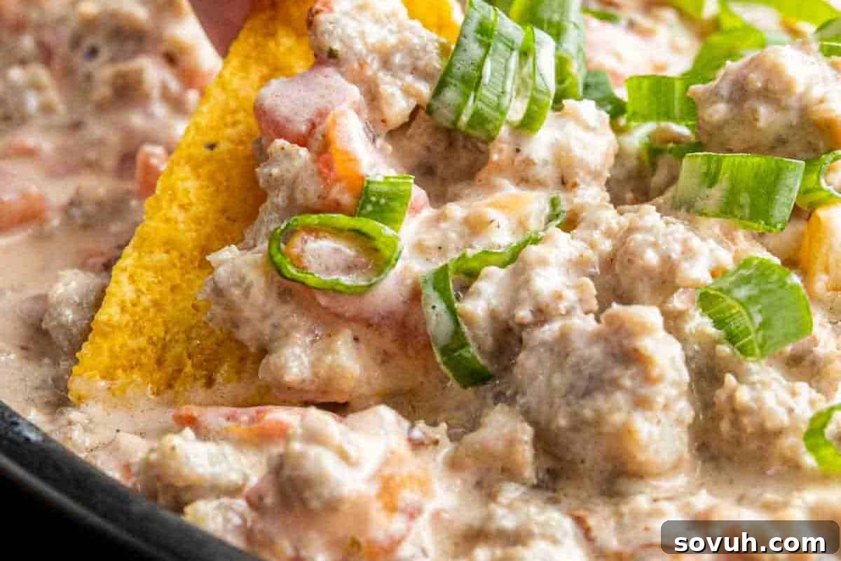 Close-up of a chip being dipped into a creamy meat and tomato dip, garnished with chopped green onions.