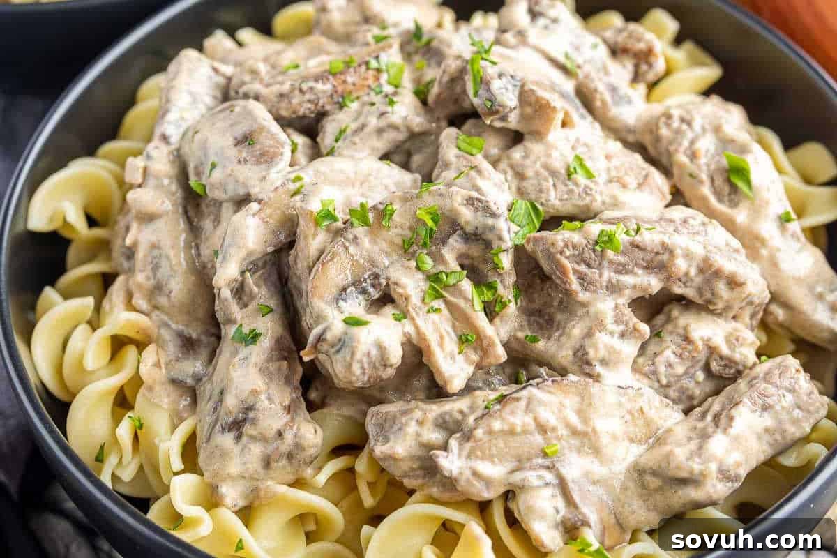 A generous bowl of perfectly cooked egg noodles, generously topped with rich and creamy beef stroganoff, beautifully garnished with fresh, vibrant parsley for a touch of color and aroma.