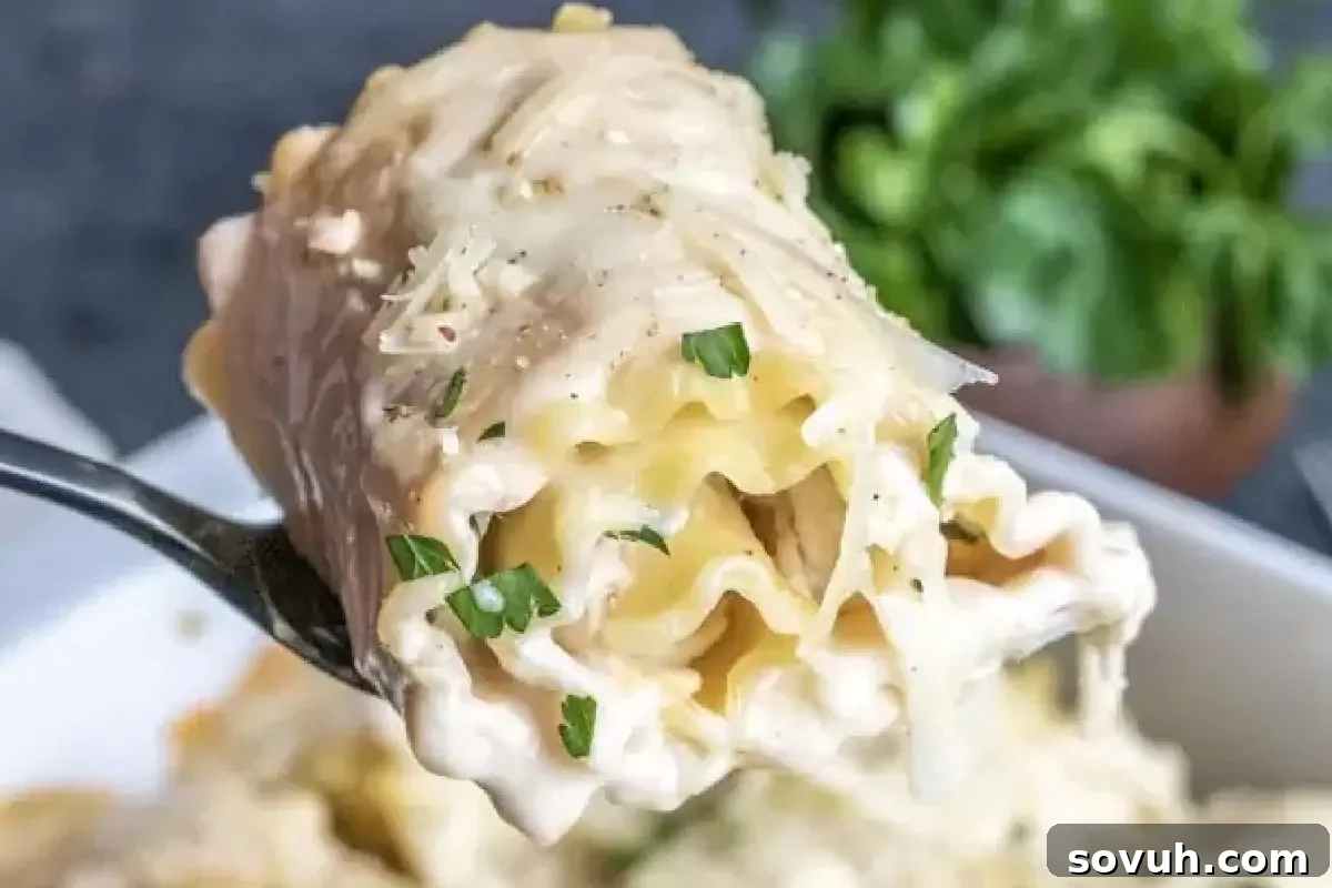 A close-up of a fork gracefully lifting a chicken alfredo lasagna roll-up, revealing layers of tender pasta and succulent chicken bathed in a rich, creamy white Alfredo sauce, beautifully garnished with vibrant chopped parsley.