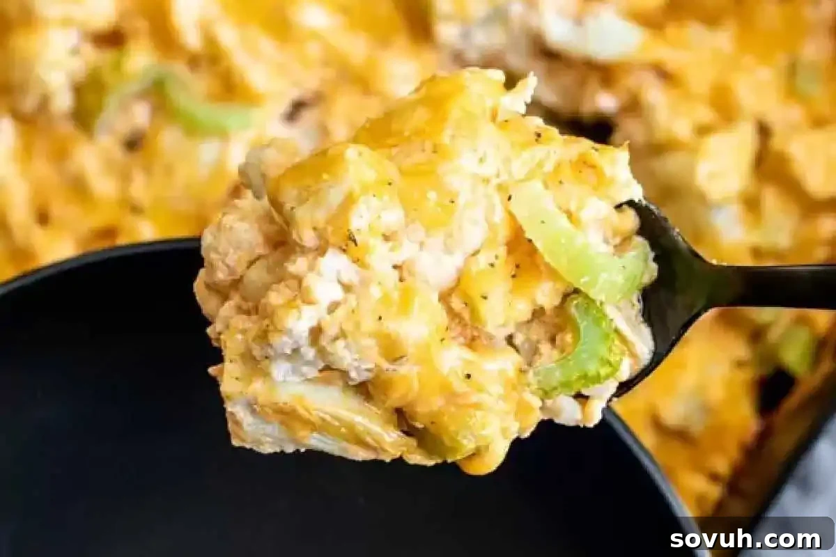 A spoonful of rich, cheesy chicken and broccoli casserole is held above a sleek black bowl, showcasing its creamy texture and vibrant ingredients.