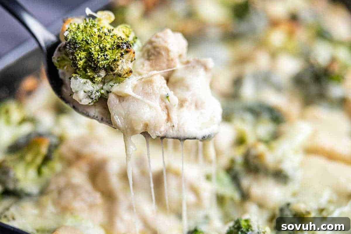 A close-up of a spoon lifting a generous portion of cheesy broccoli and chicken alfredo casserole, with delectable strands of melted cheese visibly stretching. The background is softly blurred, keeping the focus entirely on the inviting spoonful.