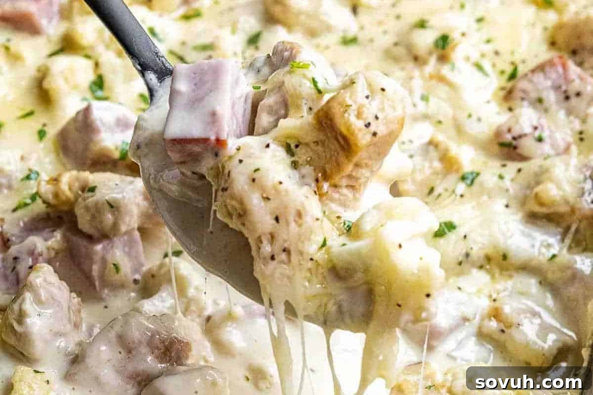 Close-up of a spoonful lifting a creamy casserole dish, beautifully featuring generous chunks of savory ham, tender chicken, and delectable melted cheese, elegantly garnished with fresh herbs.