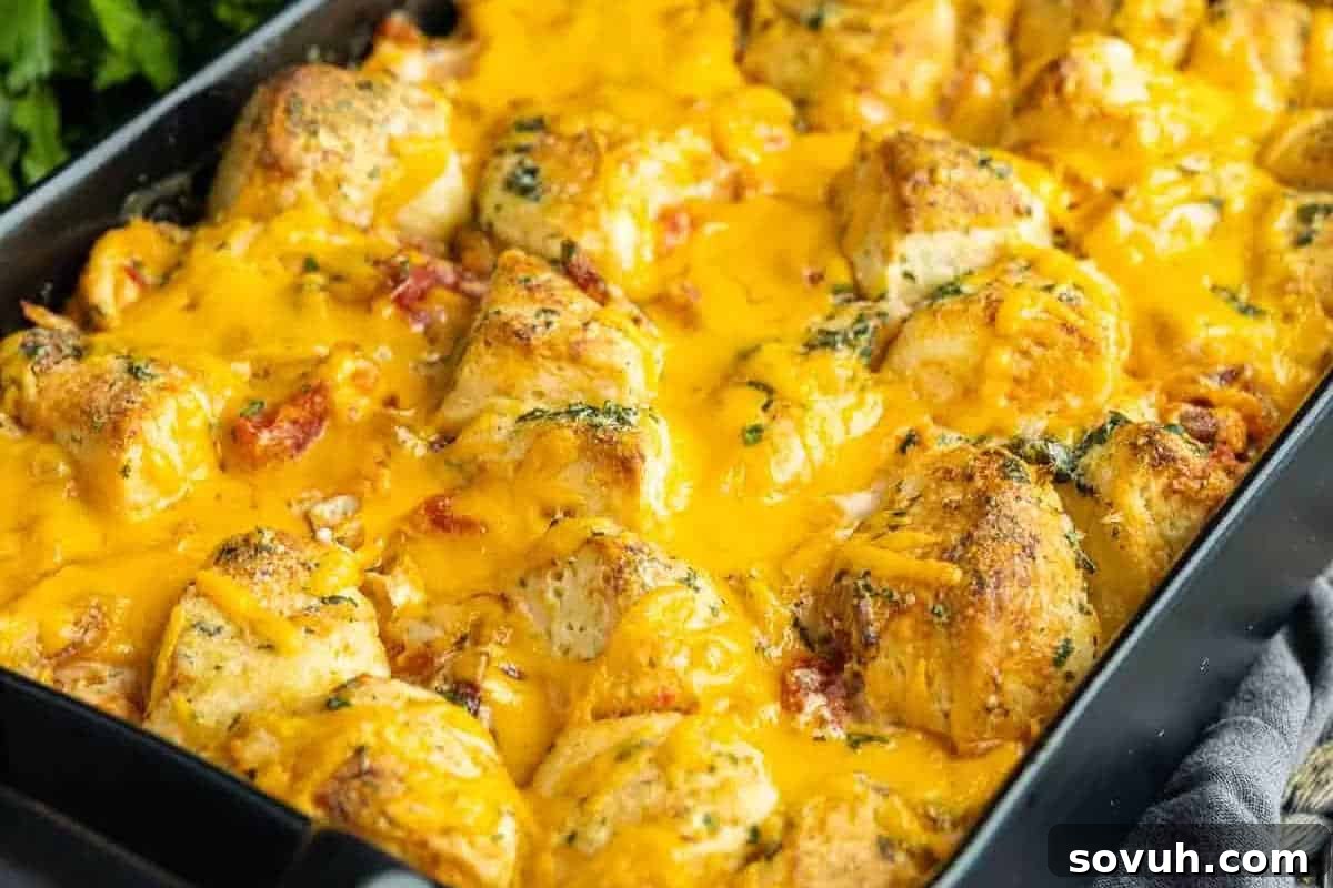 A close-up view of a baked casserole dish, showcasing golden-brown biscuits and cheesy chicken pieces generously covered in melted cheddar cheese and fresh herbs.