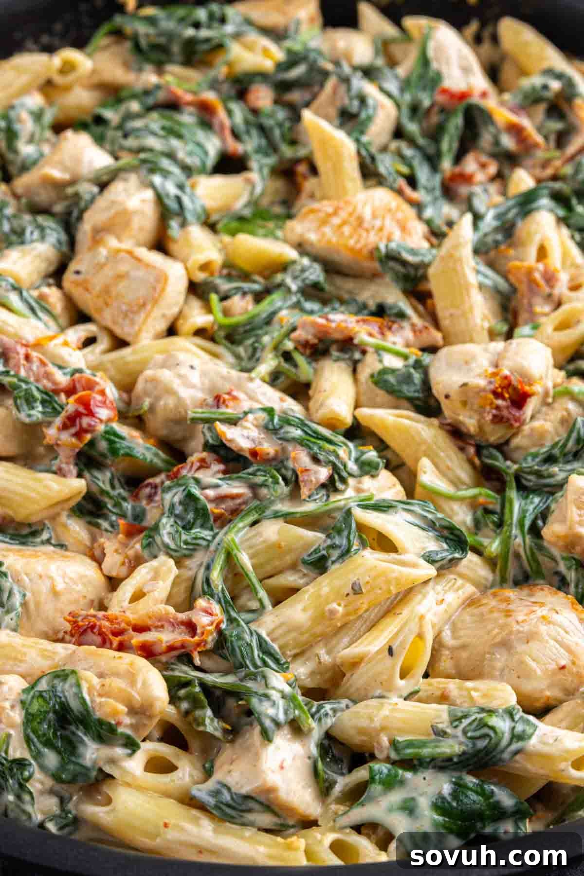 The finished Chicken Florentine Pasta, a vibrant medley of creamy sauce, tender spinach, and sun-dried tomatoes, beautifully plated in a skillet, ready to serve.