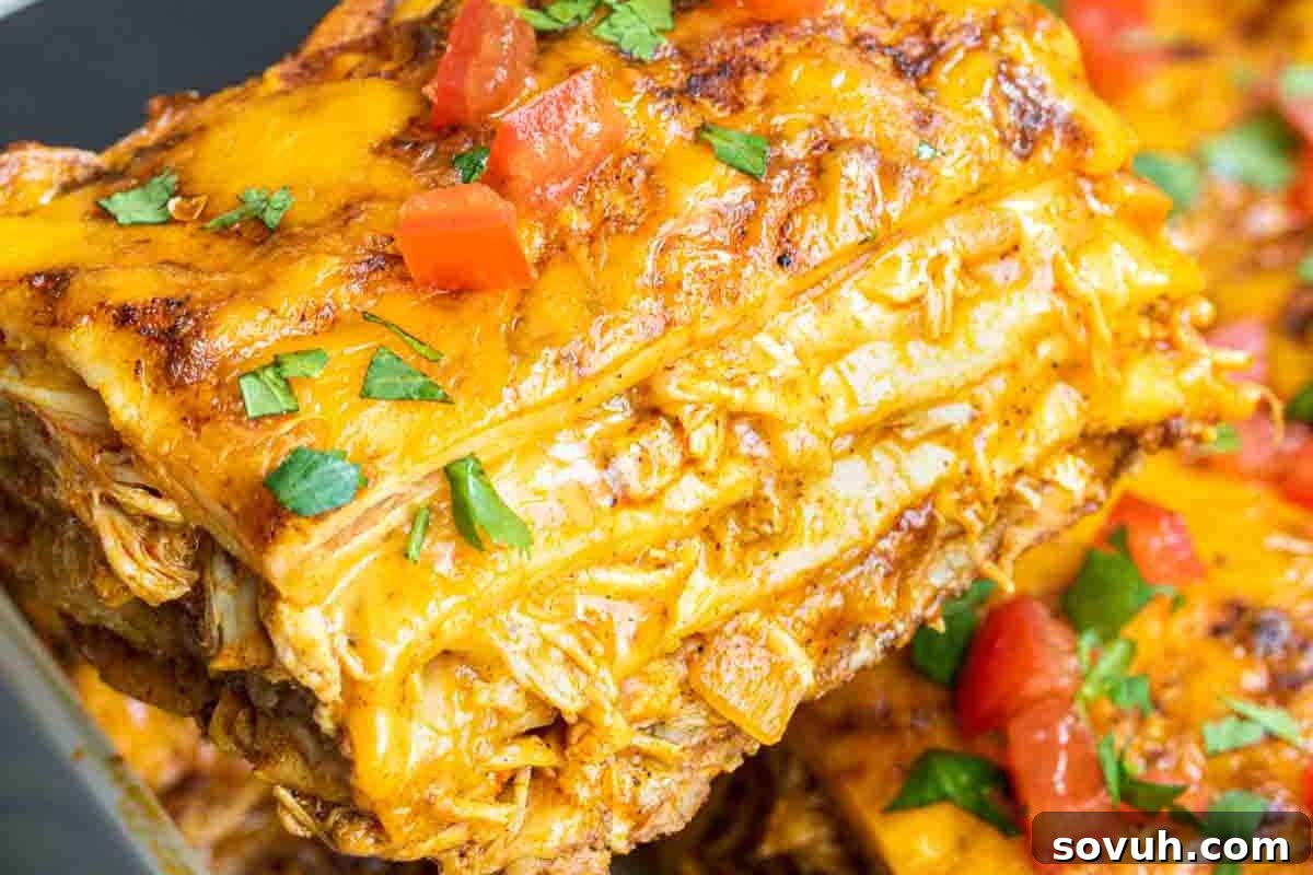A close-up of a slice of enchilada casserole, showing layers of tortillas, shredded chicken, cheese, and topped with diced tomatoes and cilantro.