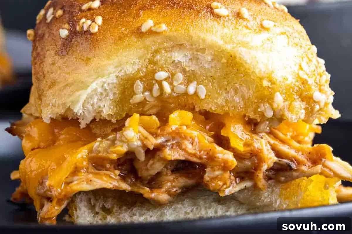 Close-up of a shredded chicken and melted cheese sandwich in a sesame seed bun.