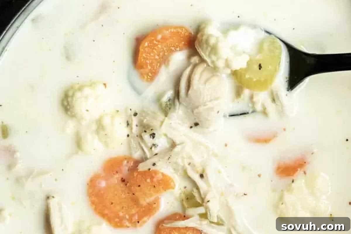 A spoonful of creamy chicken soup with chunks of chicken, sliced carrots, celery, and cauliflower.