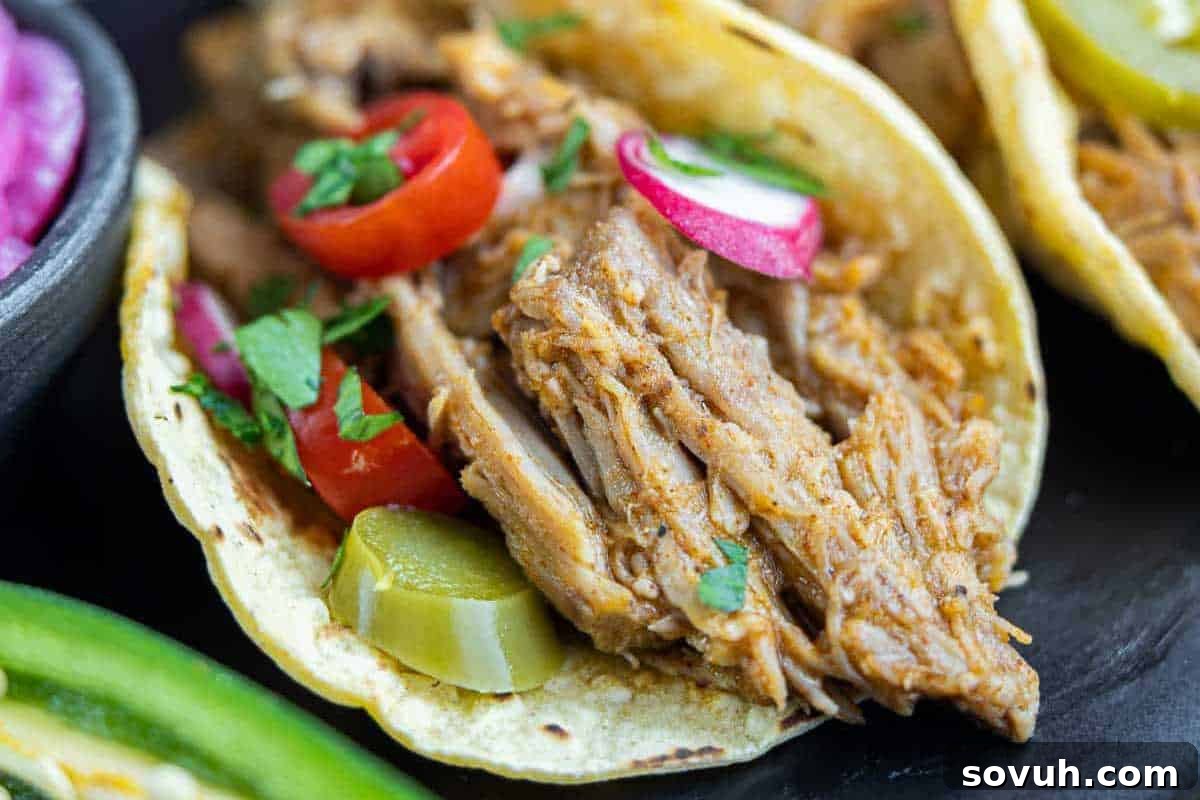 A vibrant close-up of a perfectly assembled Pulled Pork Taco, bursting with tender shredded meat, crisp sliced red radishes, green pickles, bright red chili peppers, and a sprinkle of fresh chopped cilantro.