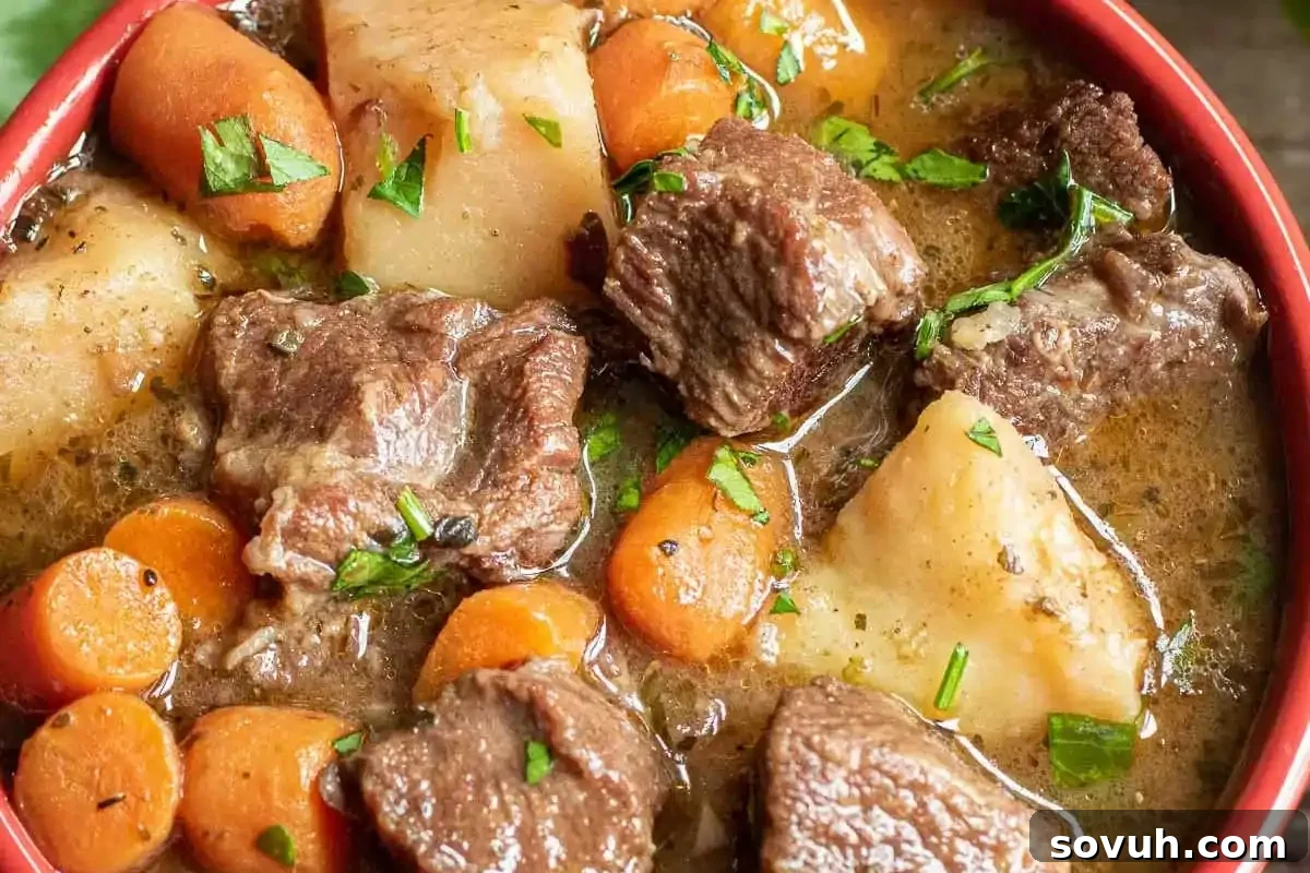 A close-up view of a hearty beef stew with chunks of beef, carrots, and potatoes in a rich broth, garnished with chopped parsley.