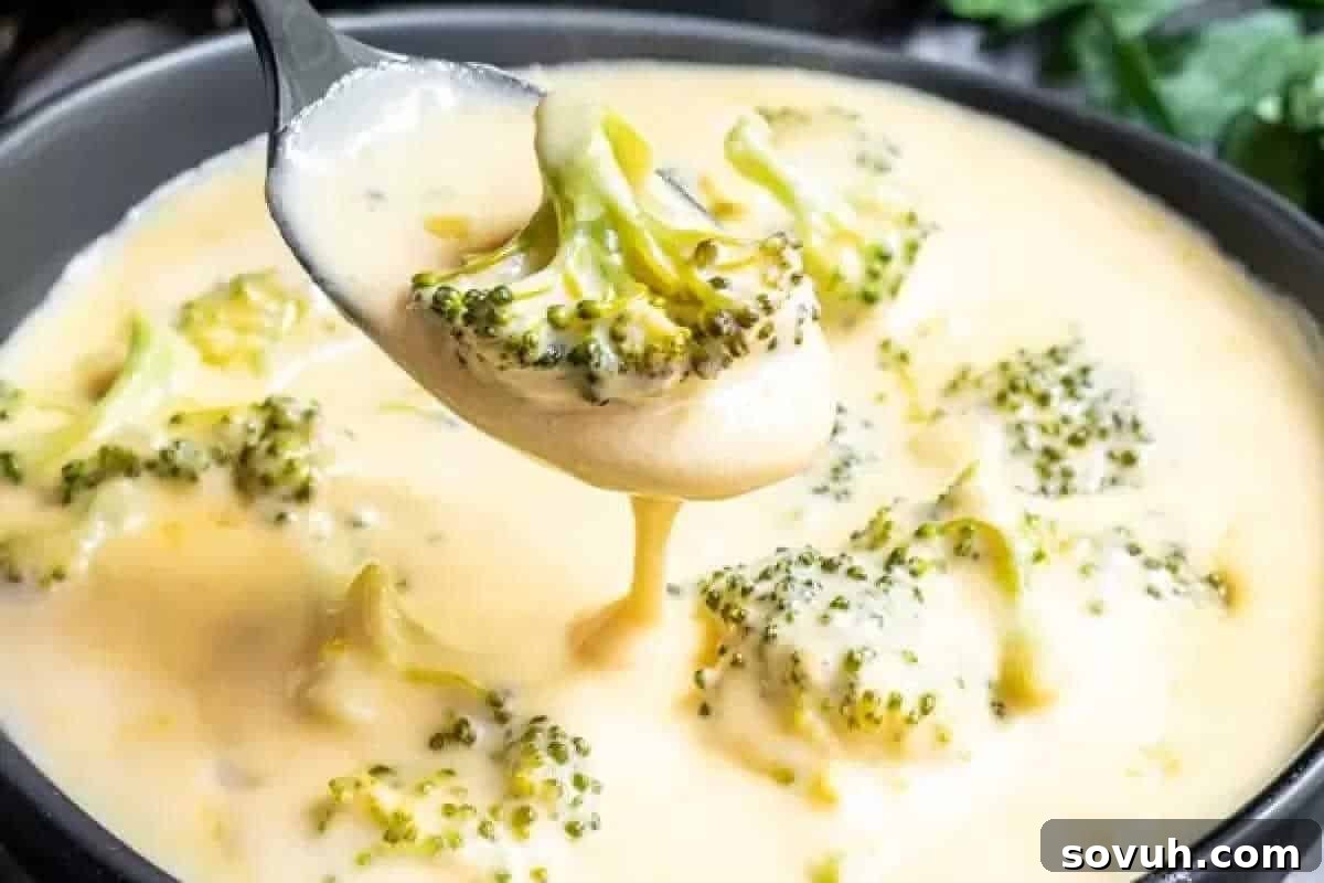 A spoonful of broccoli cheese soup with large pieces of broccoli is being lifted from a pot filled with the creamy soup.