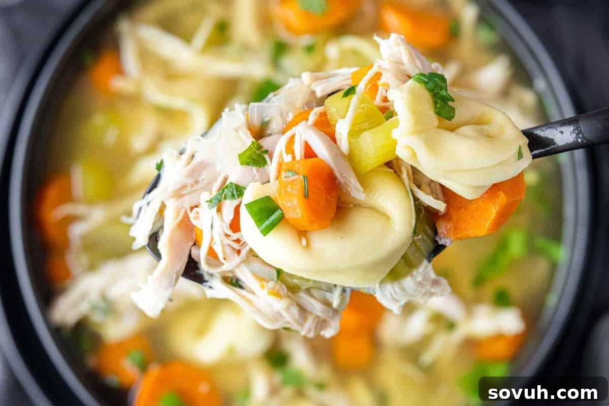A spoonful of chicken tortellini soup with pasta, shredded chicken, carrots, celery, and chopped parsley over a pot of similar soup.