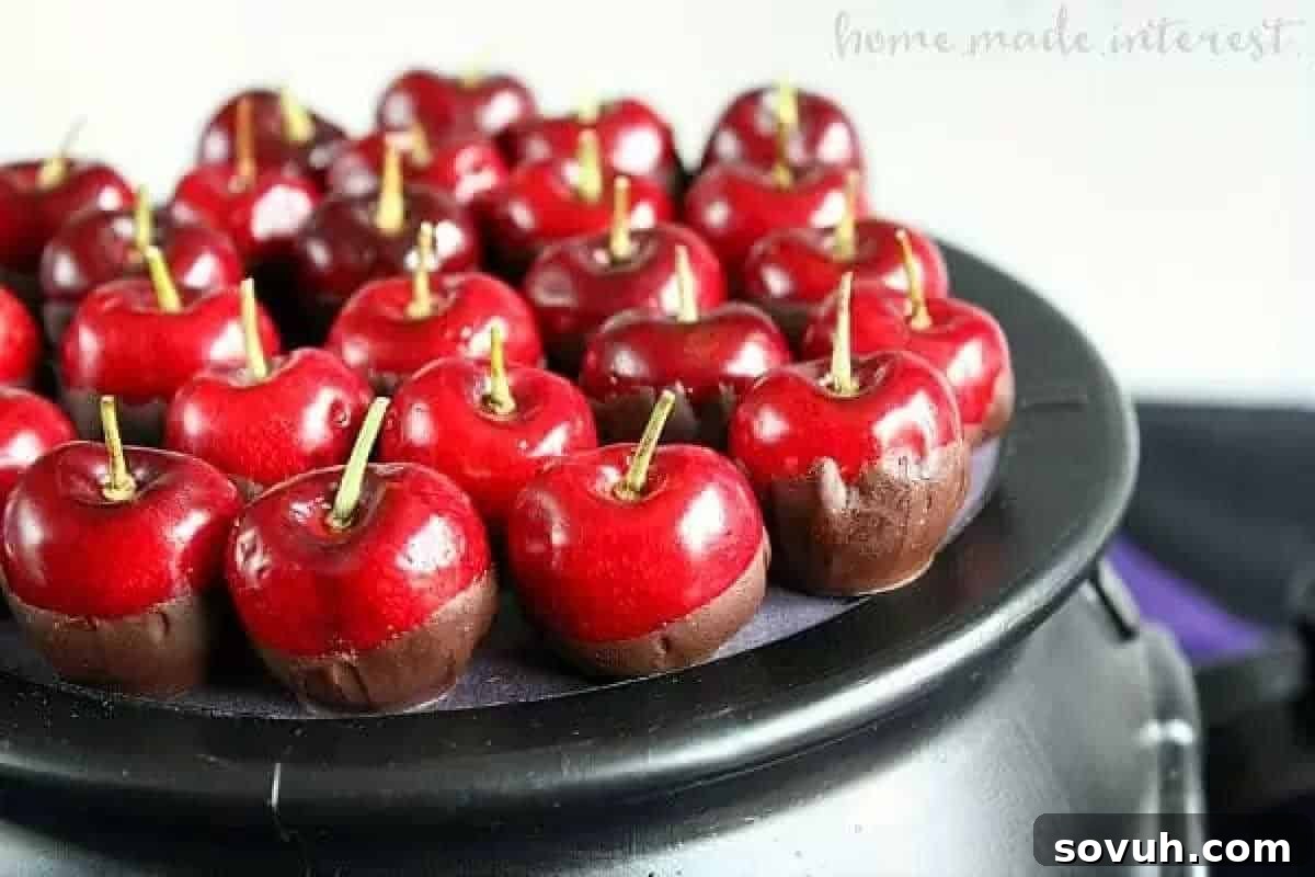 Rows of glistening red cherries, expertly dipped in dark chocolate, resembling perfect miniature 'poisoned' apples, arranged on a sleek black surface for a dramatic effect.