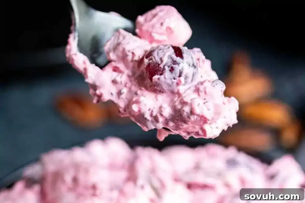 A spoonful of light pink Cranberry Fluff Salad with visible cherries, marshmallows, and pecans, showcasing its airy, whipped texture.