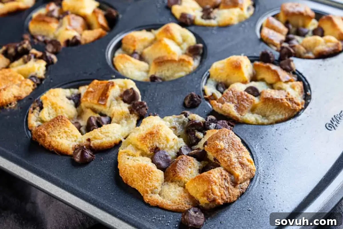 A muffin tray with baked bread pudding cups, topped with chocolate chips, slightly browned and puffed.