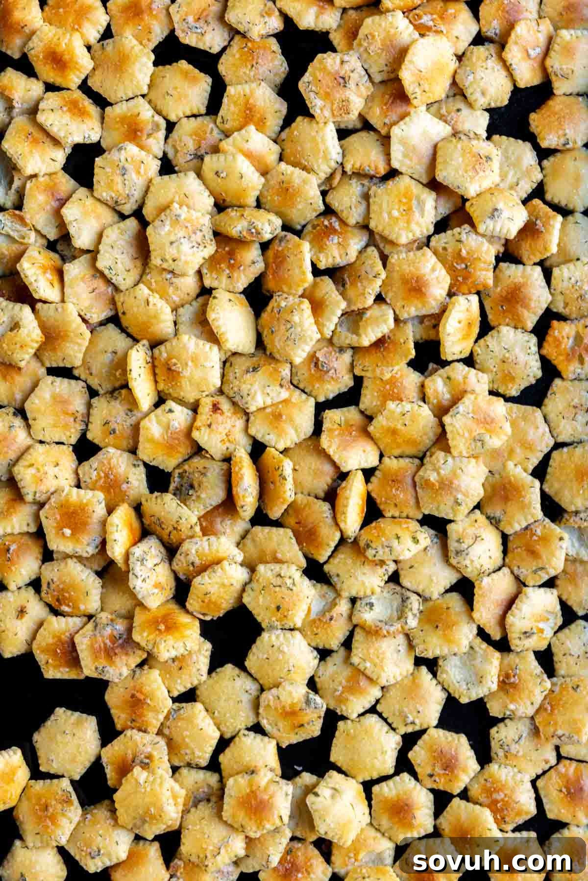 A close-up of numerous hexagonal crackers, seasoned with herbs, scattered randomly on a black surface.