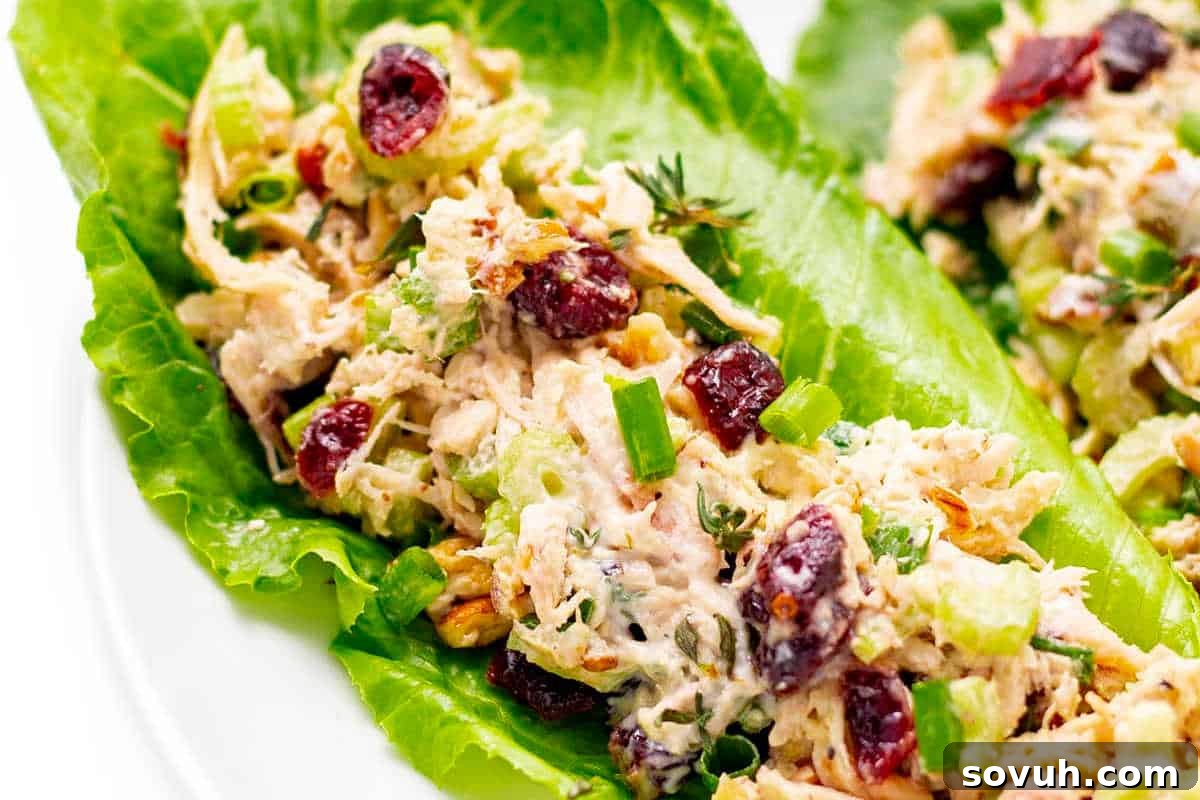 A vibrant and fresh turkey salad, featuring tender turkey mixed with tangy cranberries and crisp green onions, elegantly served on crisp romaine lettuce leaves.