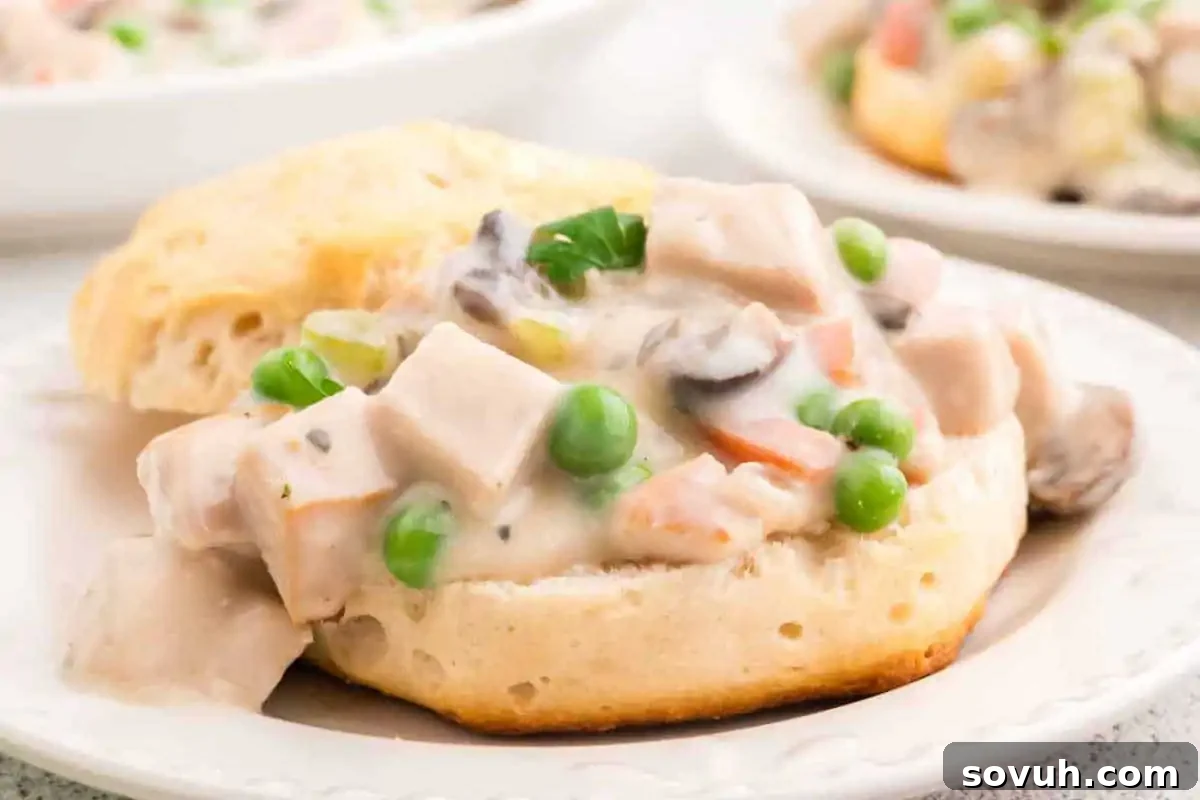 A warm, inviting biscuit generously topped with creamy turkey a la King, featuring tender turkey pieces, vibrant peas, crisp carrots, and sliced mushrooms, served on a pristine white plate.