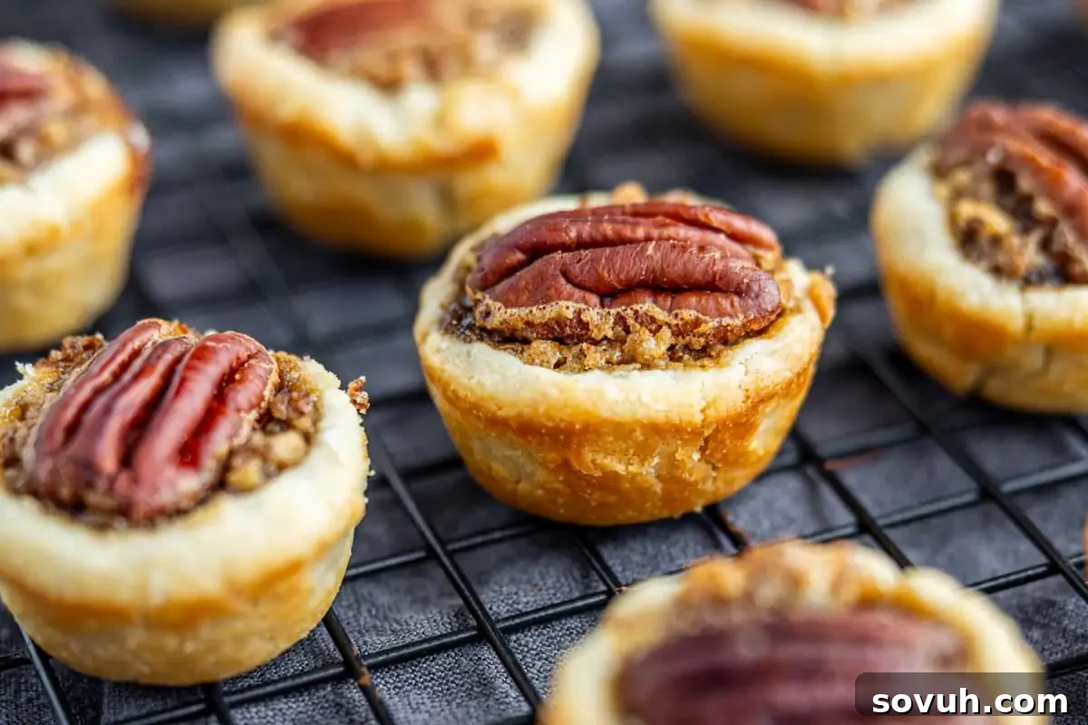Close-up of golden-crusted mini pecan pies, or Tassies, artfully arranged on a cooling rack, showcasing their rich pecan topping.