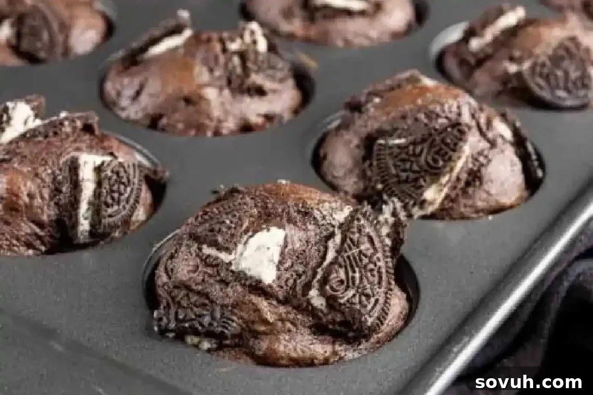 Chocolate muffins with cookie pieces baked in a muffin tray.